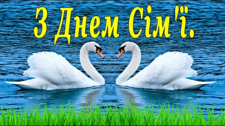 Два лебеді у формі серця на воді з привітанням українською.
