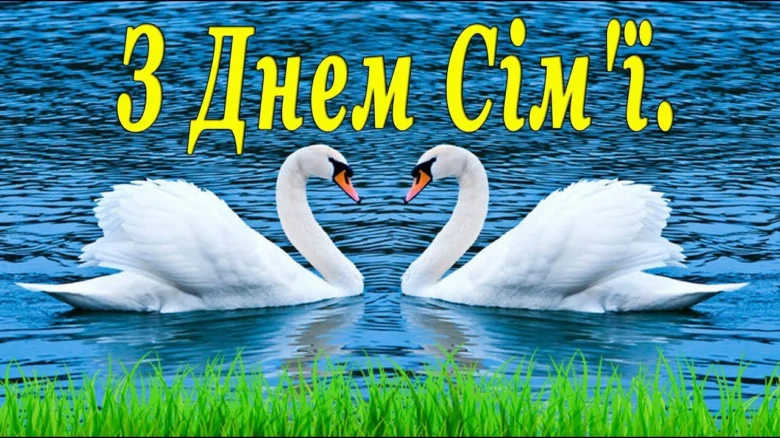 Два лебеді у формі серця на воді з привітанням.
