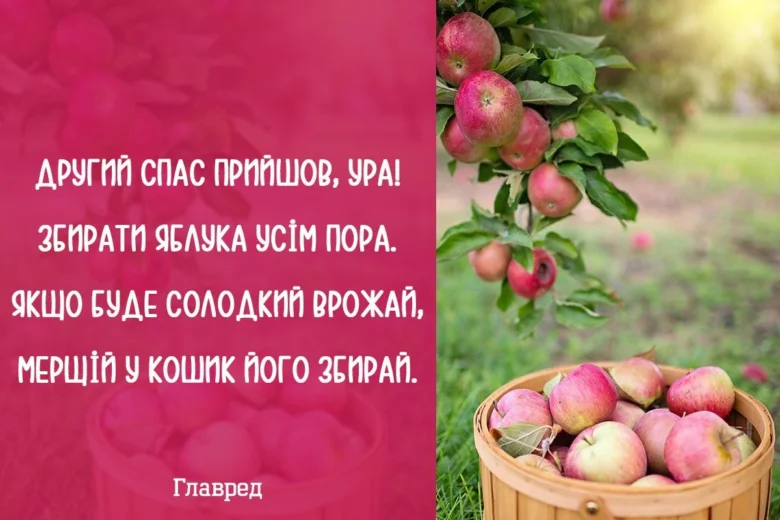 Яблука на дереві та в кошику, привітання з Яблучним Спасом.