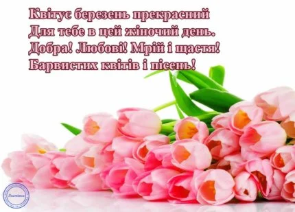 Розові тюльпани та привітання з 8 Березня українською.