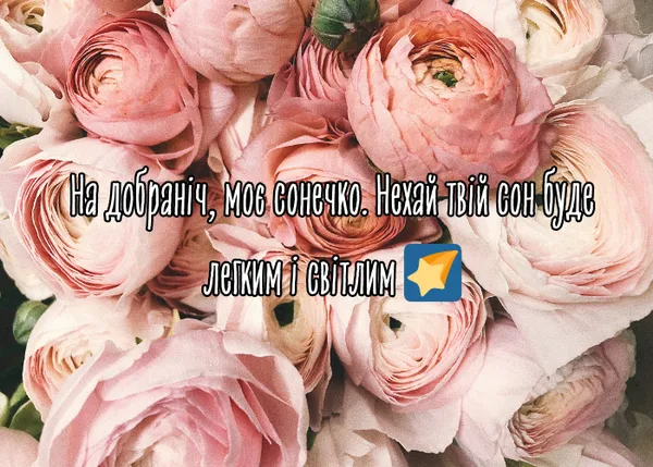 Розові троянди з побажаннями добранічі українською мовою.