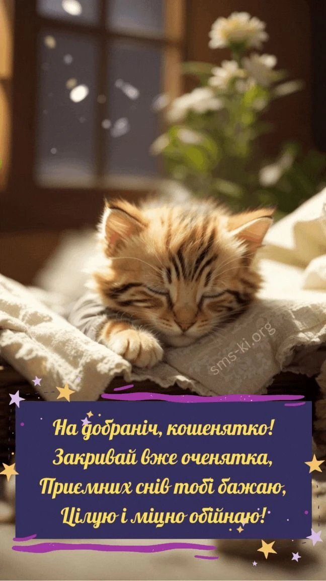 Спляче кошеня з побажаннями добраніч українською.