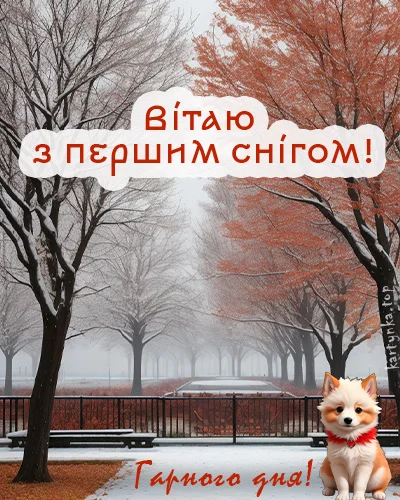 Сніжний парк з ялиновими деревами та собакою в червоному шарфі.
