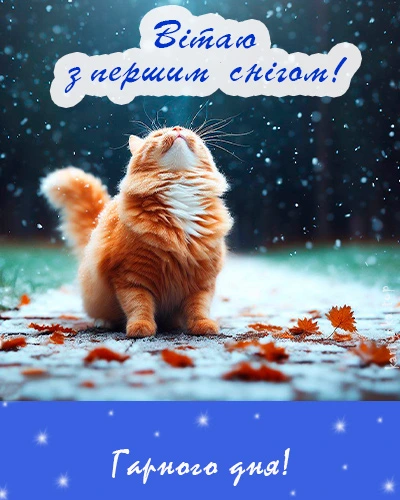 Кіт на снігу з листям та привітанням українською.