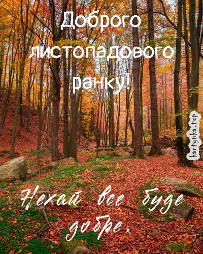 Осенній ліс з листям та привітанням на перший день листопада.
