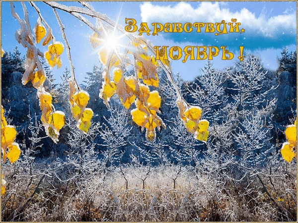Заморожене листя та сонце на фоні лісу з привітанням для листопада.