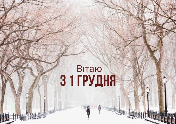 Сніжний парк з деревами та людьми на дорішці.