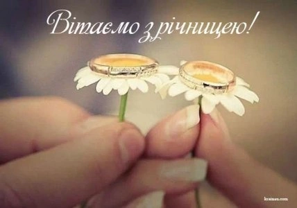 Дві руки тримають ромашки з обручальними кільцями на пелюстках.