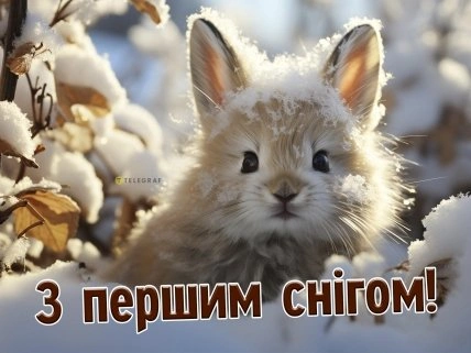 Мішка в снігу на фоні гілок з першим снігом.