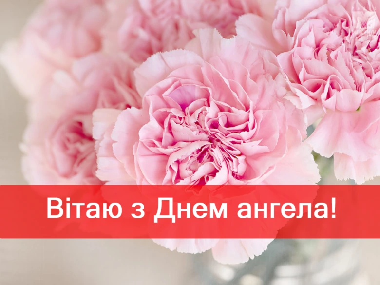 Розмиті рожеві гвоздики з червоним написом привітання.