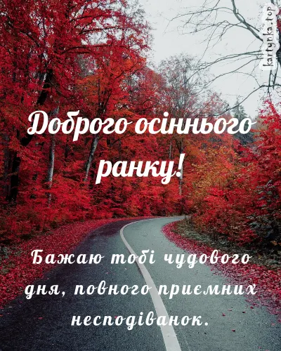 Дорога в осінньому лісі з червоними листям.